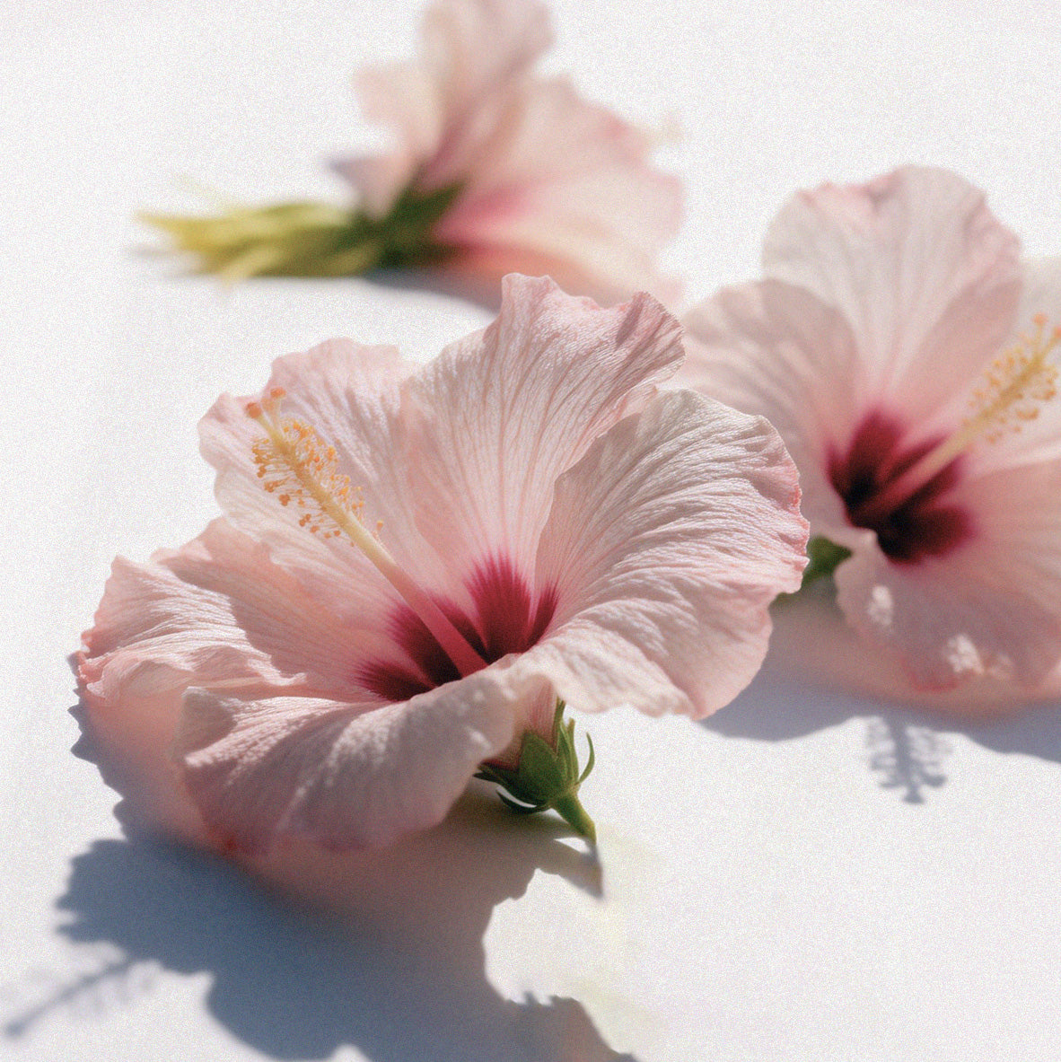 Workout skincare: pre & post-exercise