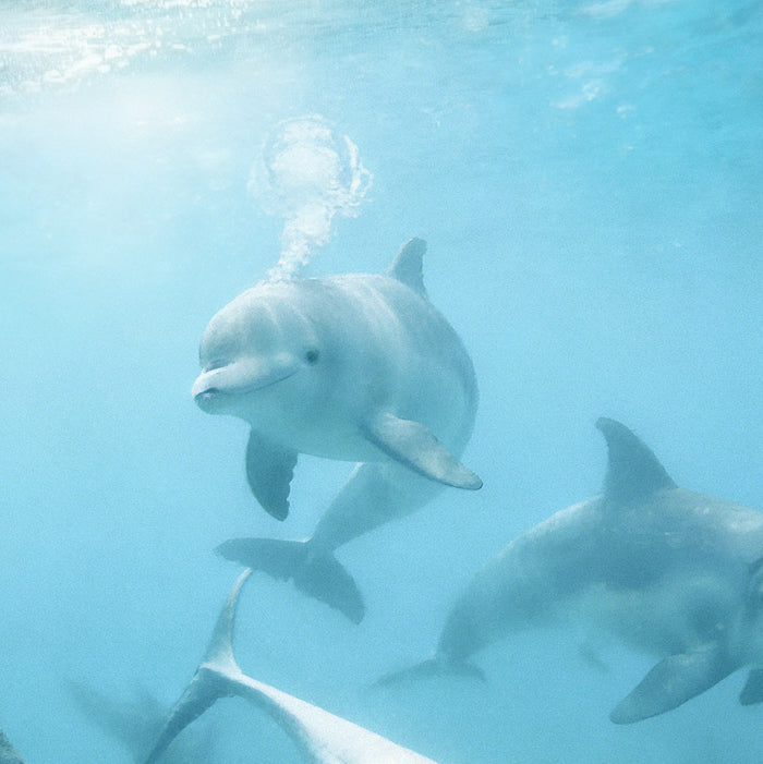 Protect your skin this summer