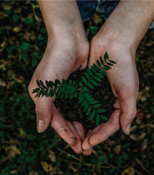 Ecológico
